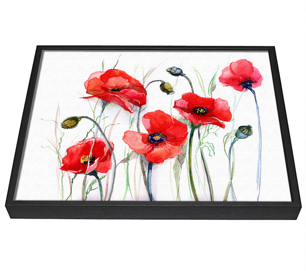 A picture of a Poppy Magic Skies framed canvas print sold by Wallart-Direct.co.uk