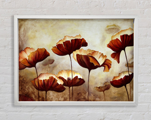 Chocolate Poppies