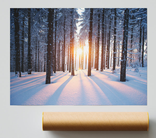 Sun Burst Snow Trees