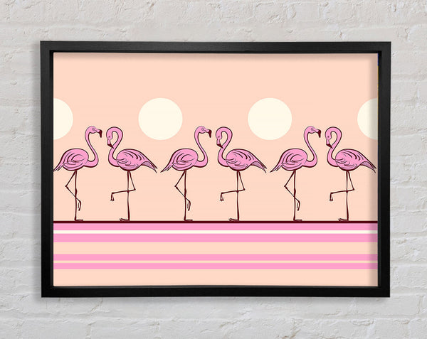 Pink Flamingo moon