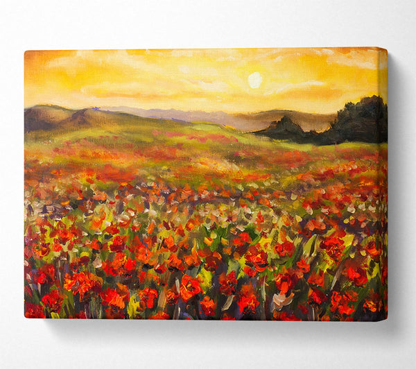 Poppy Field Sun