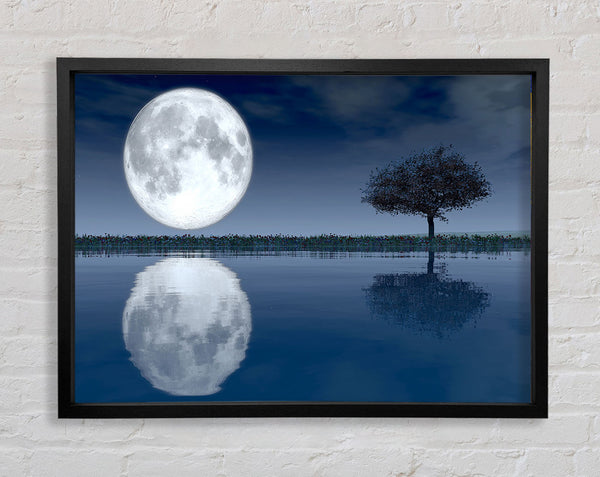 Moon Reflection