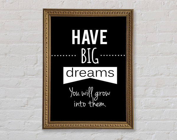 Have Big Dreams