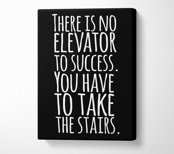 There Is No Elevation To Success