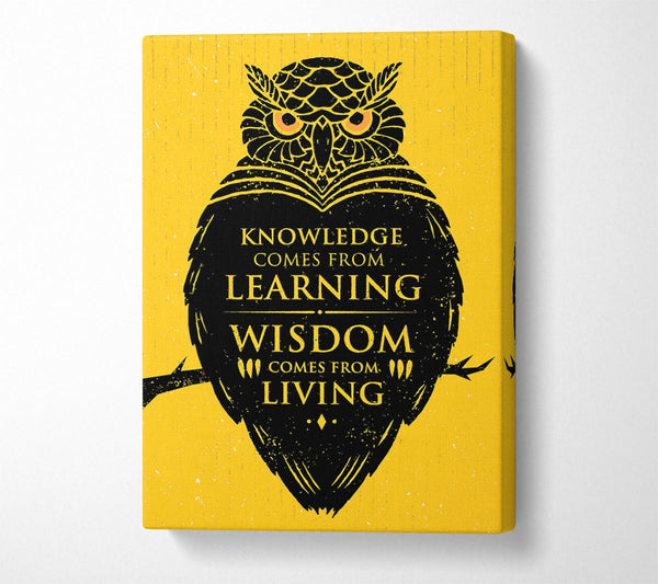 Knowledge And Wisdom