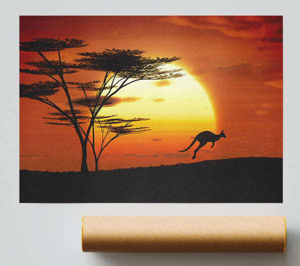 Kangaroo Sun Glow