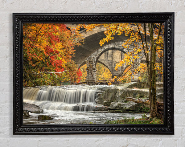 Bridge In The Forest