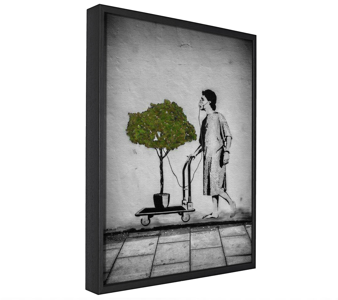 A picture of a Oxygen tree framed canvas print sold by Wallart-Direct.co.uk