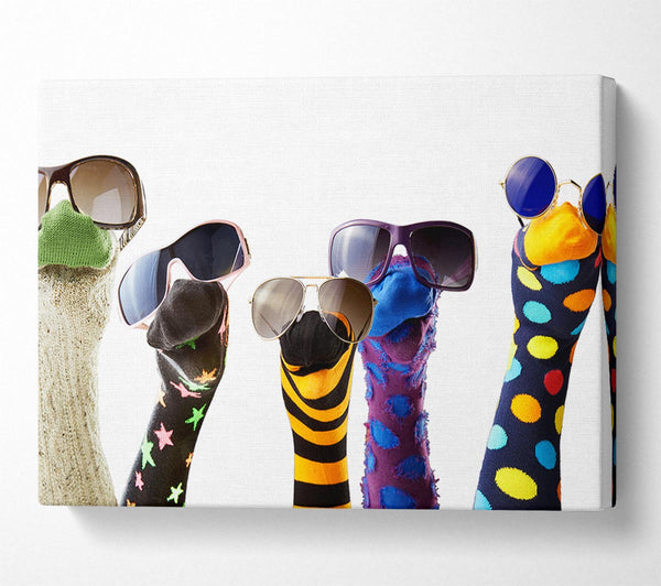 Sock Puppets with shades