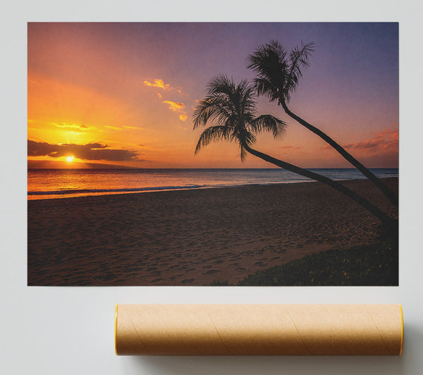 Two Palm Trees On The Beach