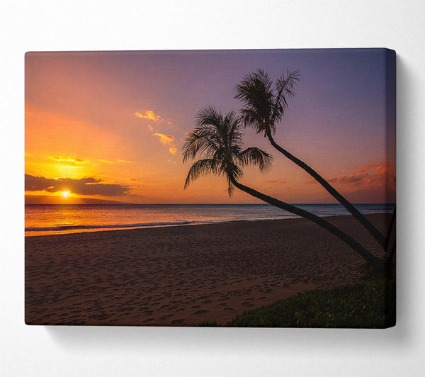 Two palm trees on the beach