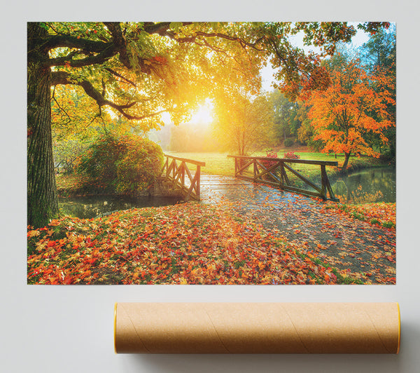 Woodland Bridge Autumn Tranqulity