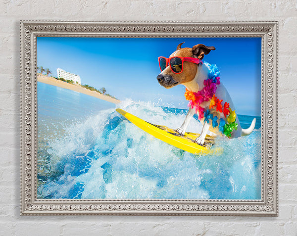 Dog with sunglasses surfing