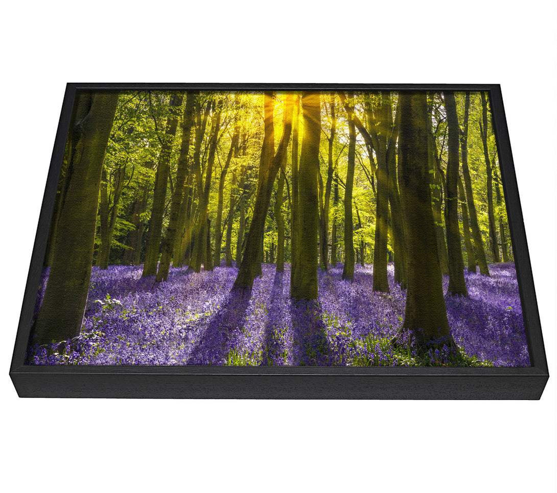 A picture of a Purple flower greenland framed canvas print sold by Wallart-Direct.co.uk