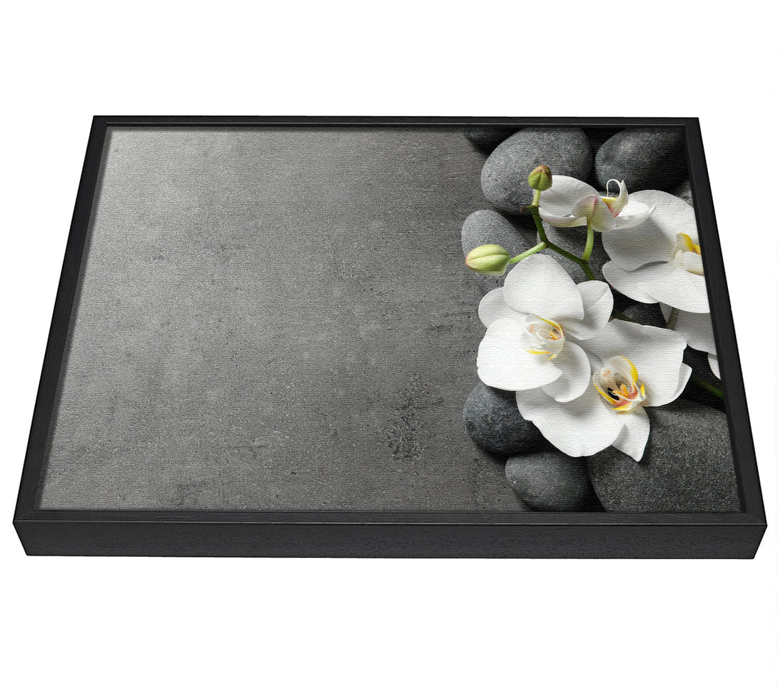 A picture of a White Orchid on grey pebbles framed canvas print sold by Wallart-Direct.co.uk