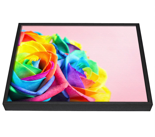 A picture of a Rainbow closeup rose framed canvas print sold by Wallart-Direct.co.uk