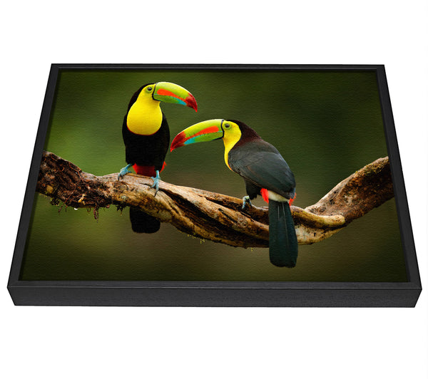 A picture of a Two Toucans on branch framed canvas print sold by Wallart-Direct.co.uk