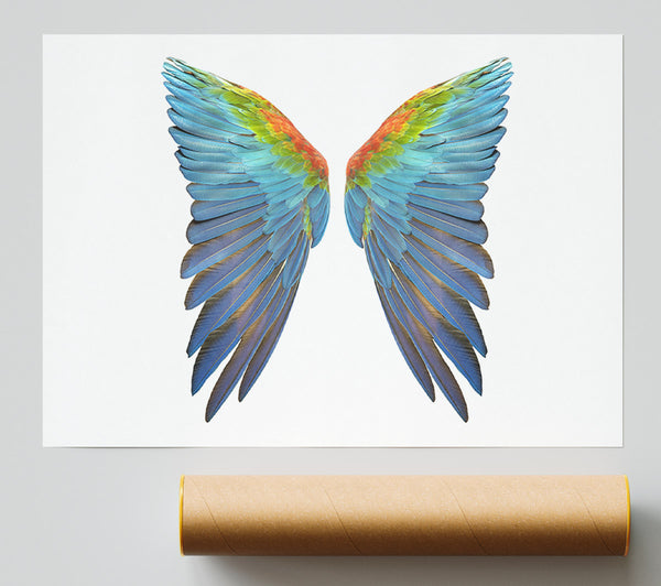 Parrot Vibrant Wings