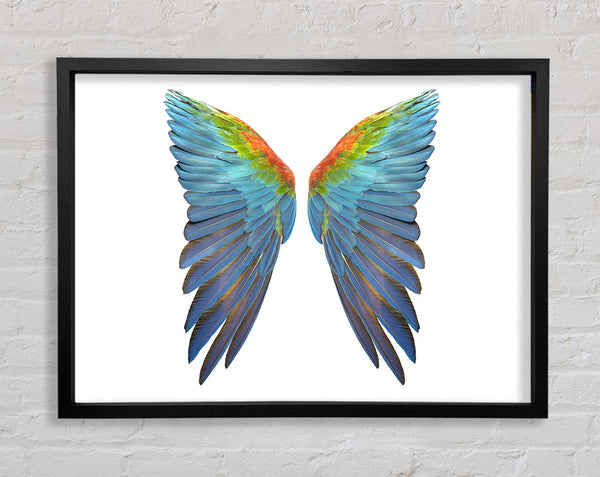 Parrot Vibrant wings