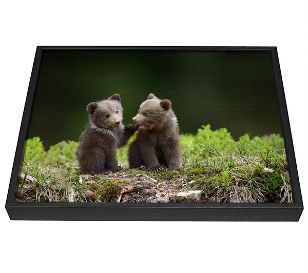 A picture of a Two bear cubs playing framed canvas print sold by Wallart-Direct.co.uk