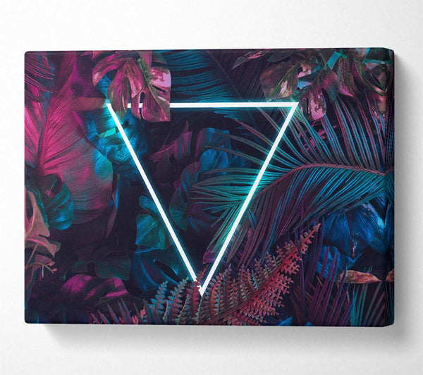 Neon triangle in the jungle