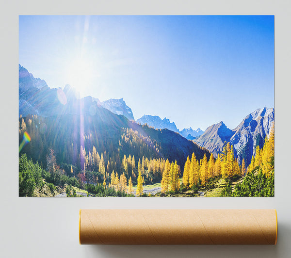 Mountain View Of Tall Trees Sunrise