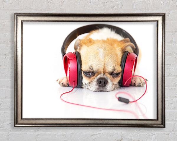 Dog listening to music relaxing