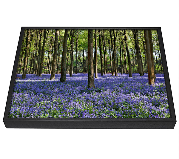 A picture of a Beautiful purple flowers in the woods framed canvas print sold by Wallart-Direct.co.uk