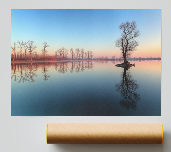 Ice Cold Trees In The River