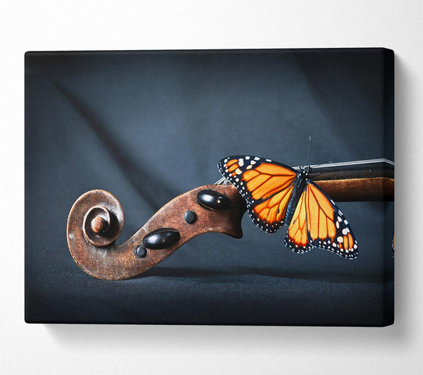 Butterfly resting on Instrument