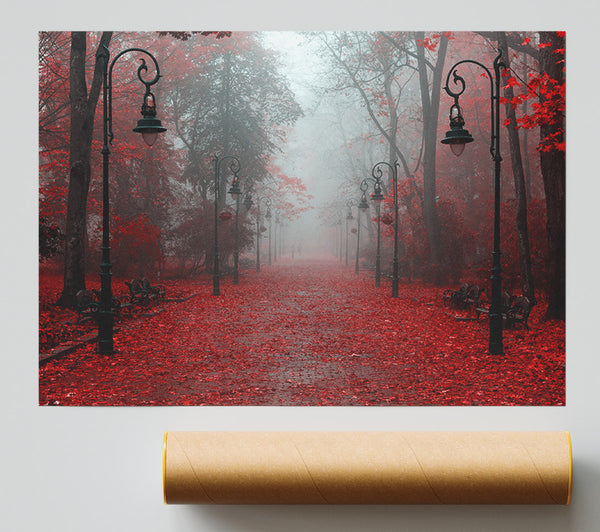 Red Autumn Leaves Streetlights