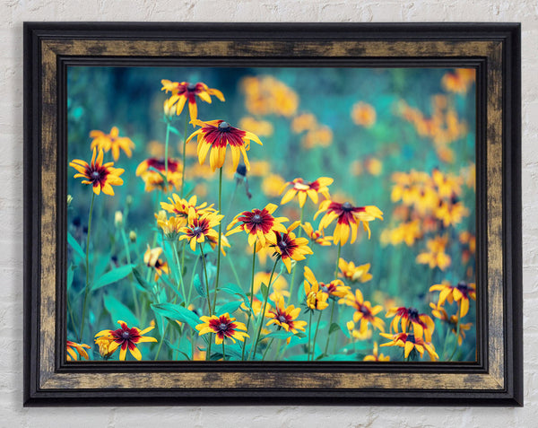 Yellow flowers in the greenery