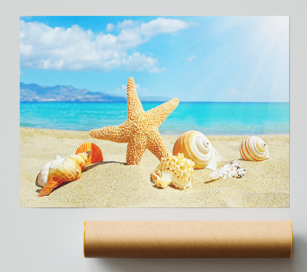 Starfish Standing In The Sand