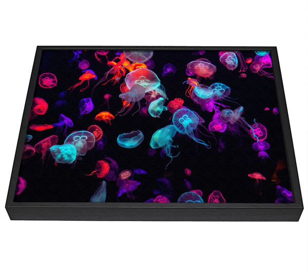 A picture of a Neon Jellyfish frenzy framed canvas print sold by Wallart-Direct.co.uk