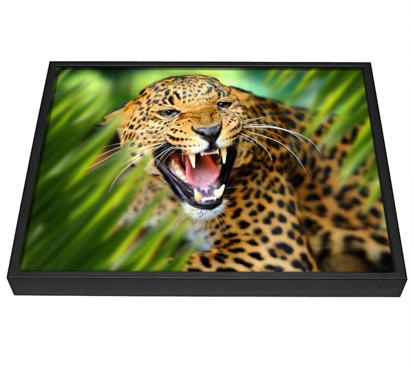 A picture of a Fierce leopard in the grass framed canvas print sold by Wallart-Direct.co.uk