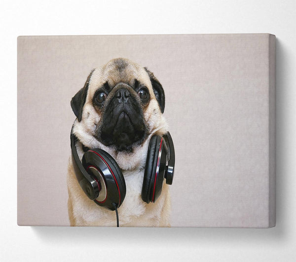 Cool pug wearing headphones