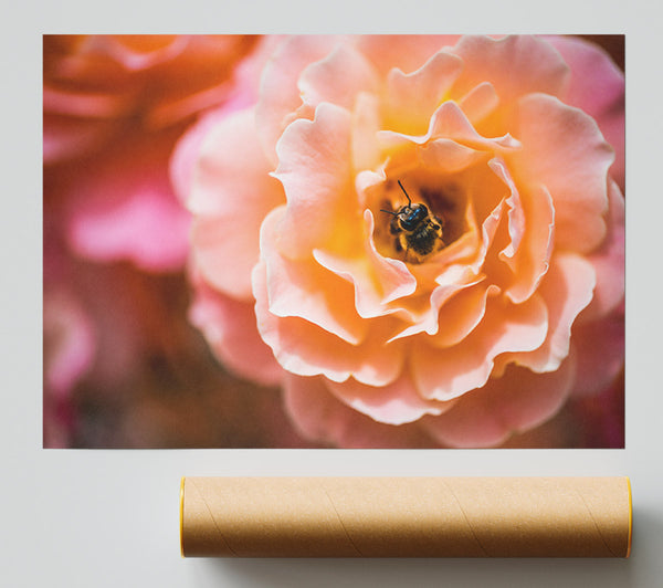 Bee Chilling In A Flower