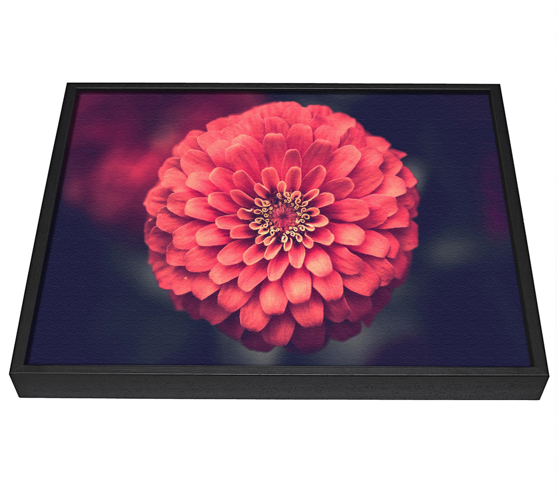 A picture of a Circular flower perfectly balanced framed canvas print sold by Wallart-Direct.co.uk