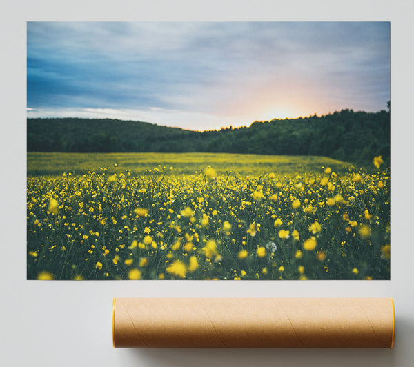 Surreal Field Of Yellow Flowers