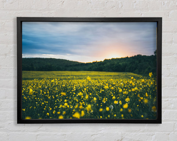 Surreal field of yellow flowers