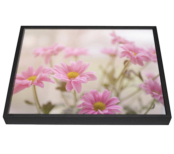 A picture of a Pink flowers in soft light framed canvas print sold by Wallart-Direct.co.uk