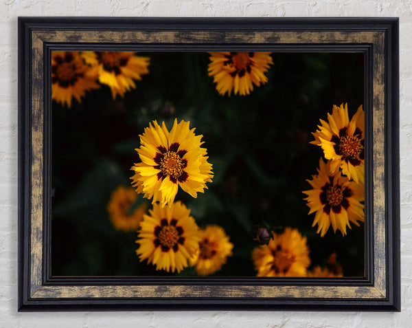 Yellow flowers in the dark