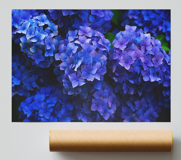 Purple Flowers Bunched