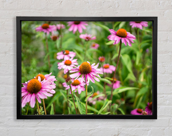 Pink flowers down below in the grass