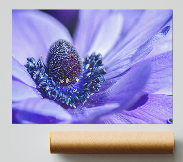 Purple Flower Inside Detail