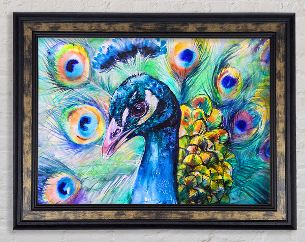 Vibrant Watercolour Peacock