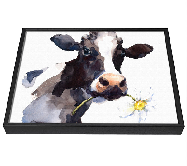 A picture of a Daisy The Cow framed canvas print sold by Wallart-Direct.co.uk