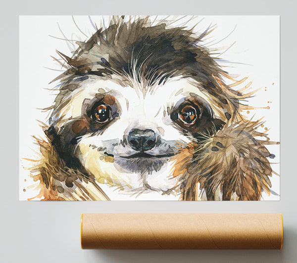 Water Colour Sloth