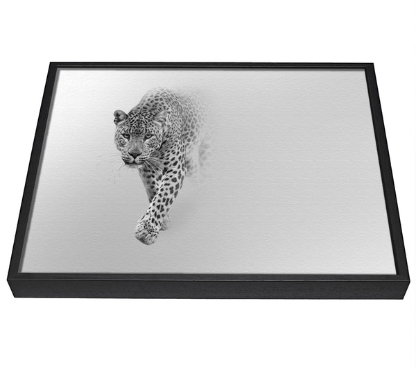 A picture of a Leopard In The Mist framed canvas print sold by Wallart-Direct.co.uk