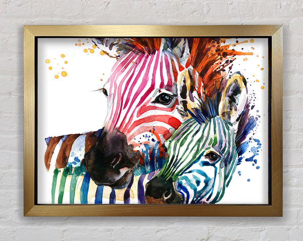 Multicoloured Rainbow Zebra